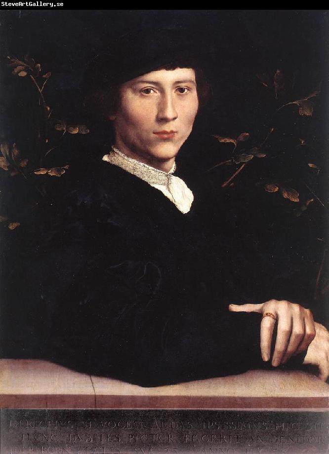 HOLBEIN, Hans the Younger Portrait of Derich Born af